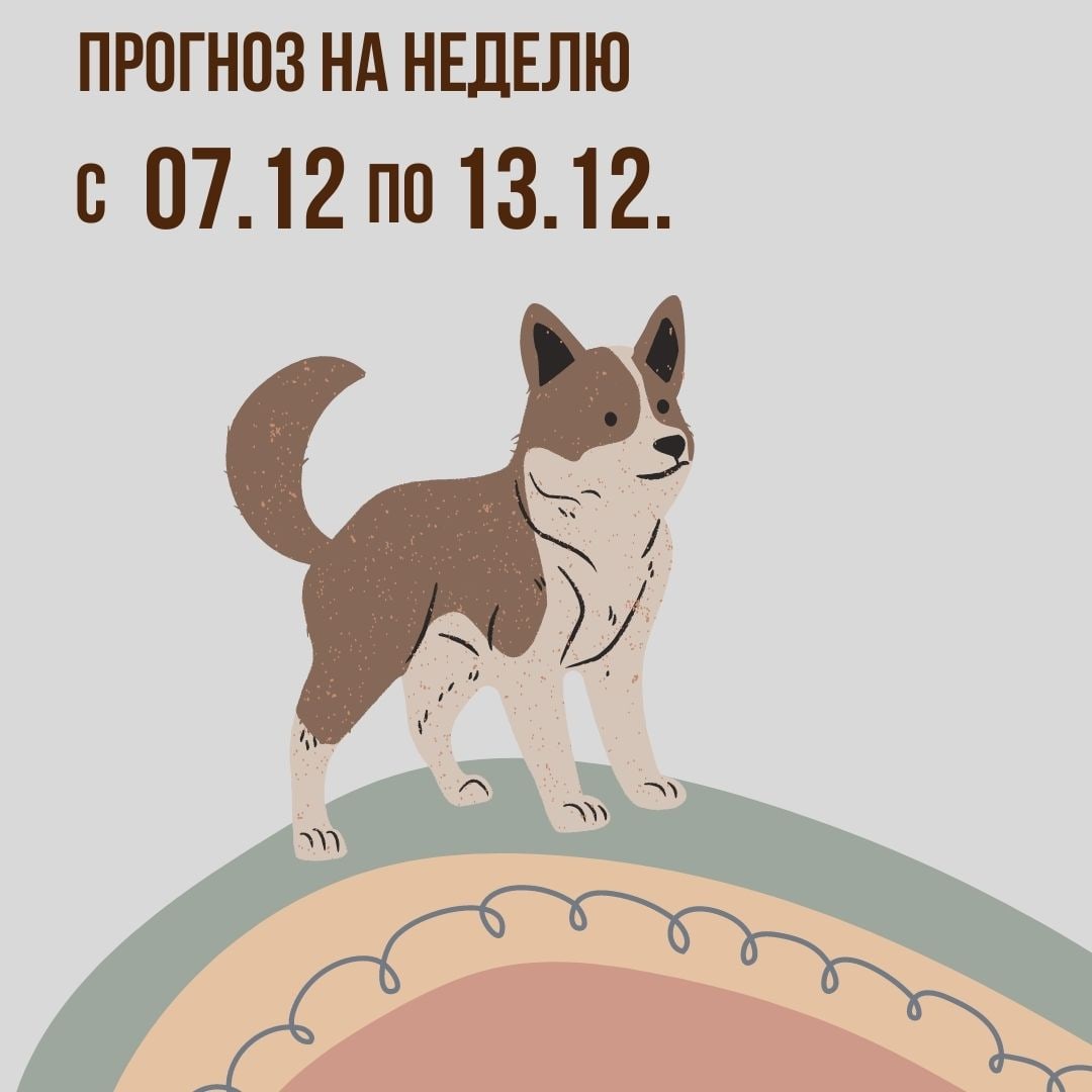Прогноз на неделю 07.12.20-13.12.20