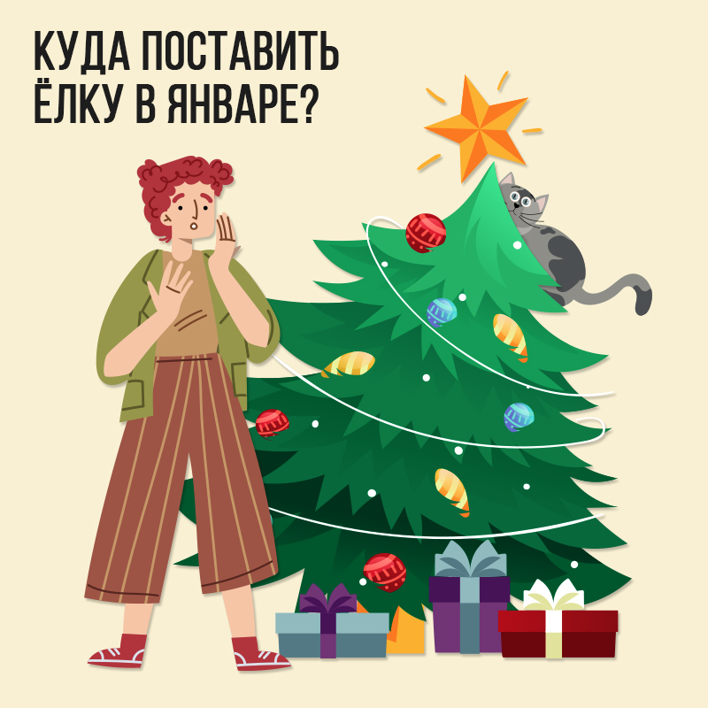Куда поставить Ёлку в Январе