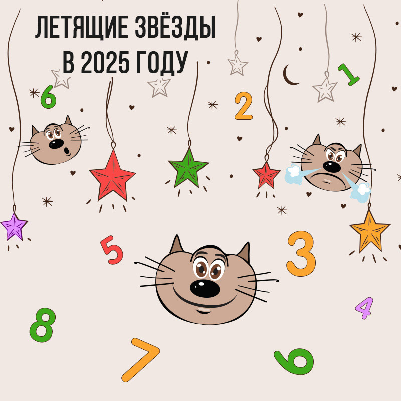 Летящие звёзды в 2025