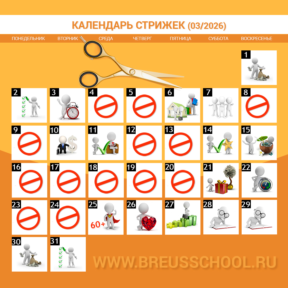Календарь стрижек на месяц.